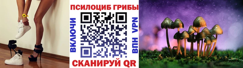 где купить наркоту  Слободской  Псилоцибиновые грибы Magic Shrooms 